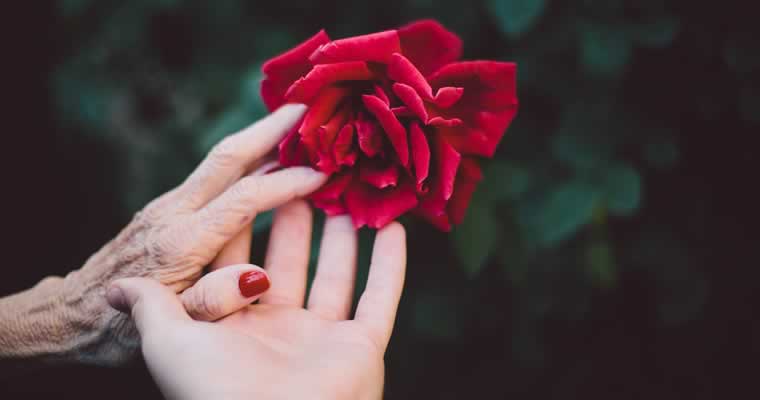 older and younger woman holding hands and a rose